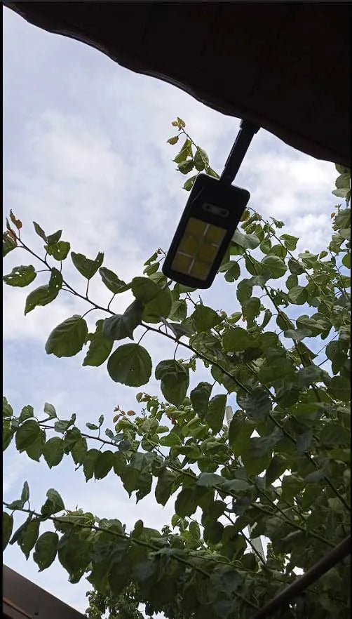 Lámpara solar instalada en lo alto de un arbol